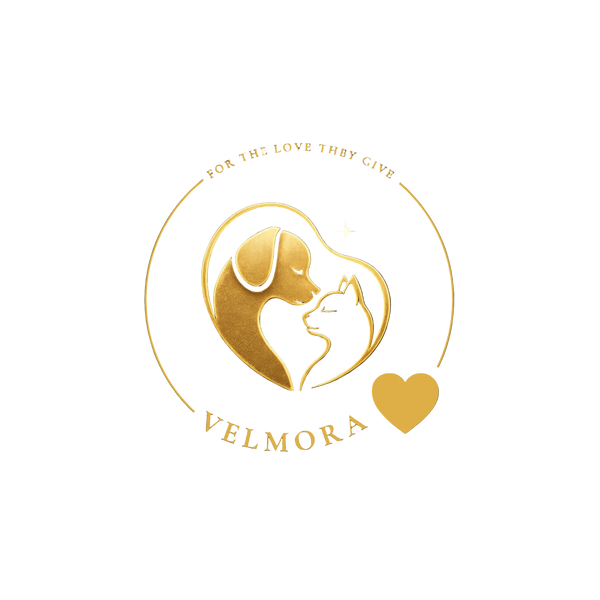 Velmora Collective